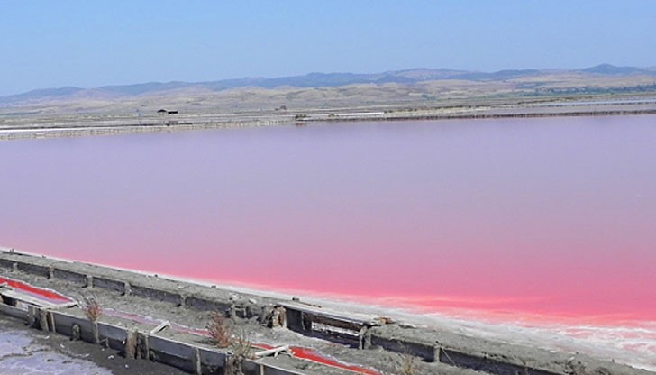 Интерактивната пътуваща изложба за Атанасовско езеро – „симБиотично“