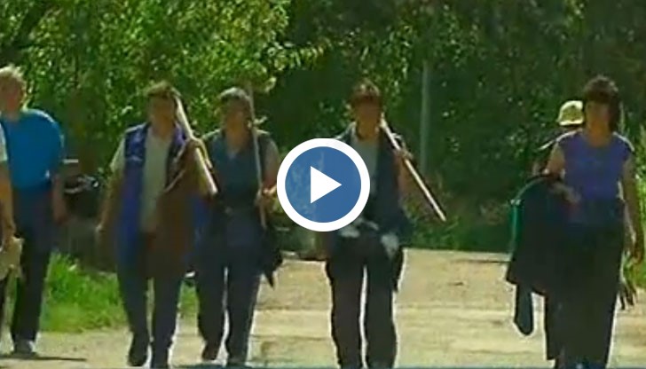 Ще закрият ли института „Образцов чифлик”?