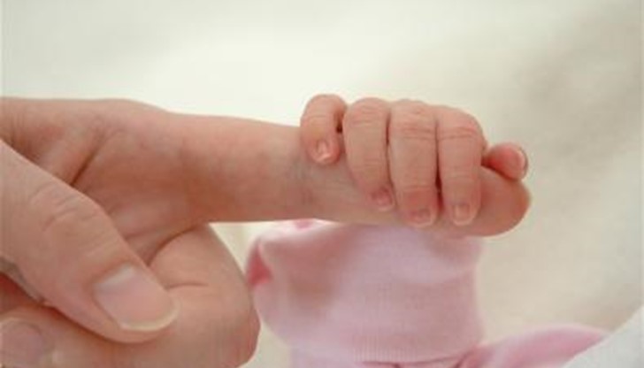 Малката нежна ръчичка, която просто се протяга, за да вземе онова, което й харесва