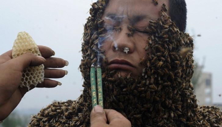Мъж покрива цялото си тяло с 331 000 пчели