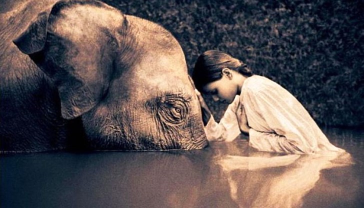 Според месеца и годината си на раждане всеки човек може да научи характера на кое животно носи в душата си Според месеца и годината си на раждане всеки човек може да научи характера на кое животно носи в душата си