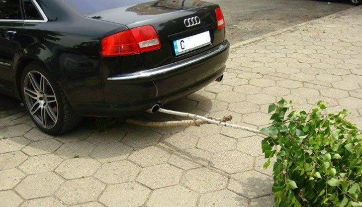 Само в България може да видите как се паркира скъпо АУДИ, помитайки крехка бреза на тротоара