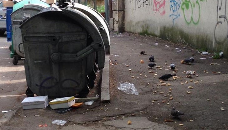 Русе център......