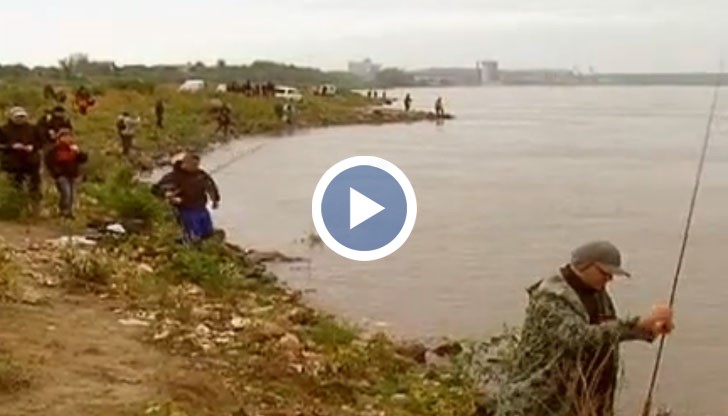 Най-атрактивният риболов и за българи и за румънци е по време на турнира „Синият Дунав“