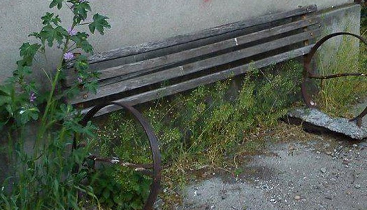 Живеем в 21 век без нормални контейнери, люлки за децата, в тревните площи чакаме змии