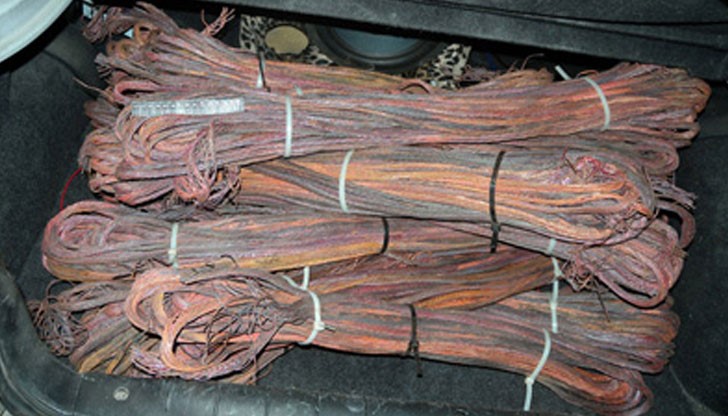 В засята нива са установени множество петна от прясно изкопана и заравнена пръст, където кабели са срязани и късани