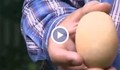 Огромно яйце снесе българска кокошка