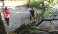Дърво падна в центъра на Русе
