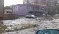 Потопът във Видин