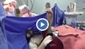 Мъж свири на китара и пее „Бийтълс”, докато му оперират мозъка