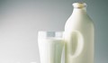 Млекопроизводителите очакват фалити заради санкциите срещу Русия