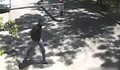Десетки обаждания за предполагаемият убиец на Георги, заснет от камера!
