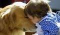 Куче от приют става първото куче-терапевт в България