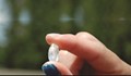 Жена откри 8,52-каратов диамант в парк