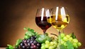 Световен винарски конкурс в България!