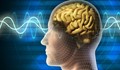 Работата на човешкия мозък би могла да се подобри с цели 689 %
