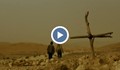 Филмът "Раната" за арменския геноцид - премиера