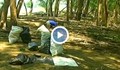 Тонове отпадъци по дунавските острови край Русе