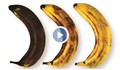 Как почернял банан става отново жълт?