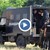 Полицейска акция в "Орландовци" срещу хора с брадви, тояги и бухалки
