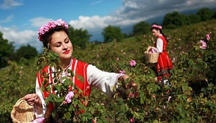 Конкурсът се проведе в рамките на ежегодния за град Казанлък „Фестивал на розата“ Конкурсът се проведе в рамките на ежегодния за град Казанлък „Фестивал на розата“