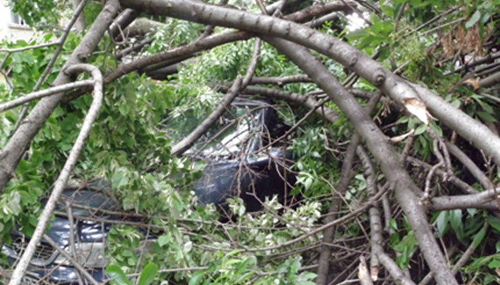 Инцидента се е случил на ул.”Хан Аспарух”/ снимката е илюстративна Инцидента се е случил на ул.”Хан Аспарух”/ снимката е илюстративна