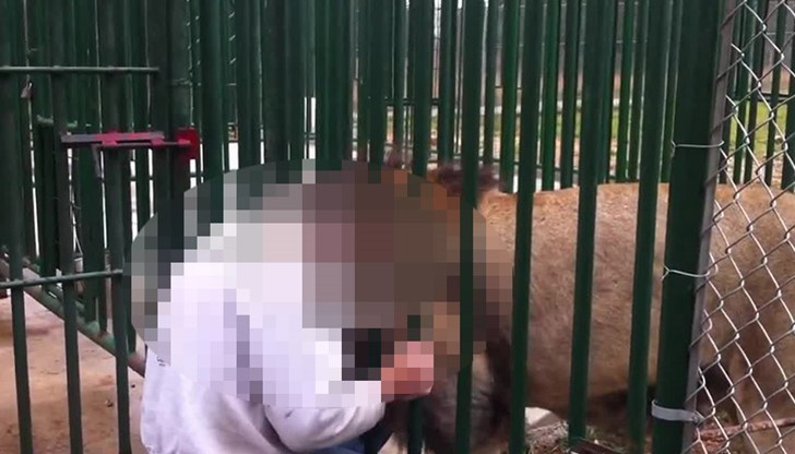 Животните си остават животни, колкото и да не ни се иска! Животните си остават животни, колкото и да не ни се иска!