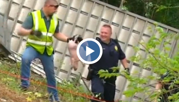 Огромен брой полицаи бяха мобилизирани, за да заловят бегълците