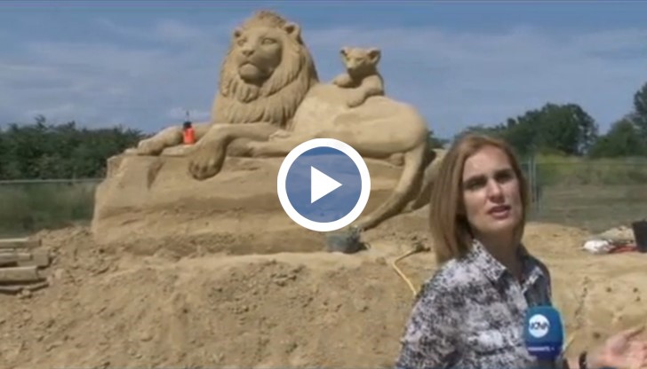 Кенгуру, лъвове, панди и маймуни посрещат хората на морския плаж!