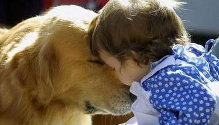 Кучето се казва Тами и е от приют Кучето се казва Тами и е от приют