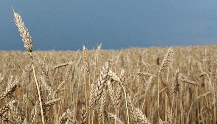 Тъжен факт е, че млякото го изкупуват на мизерни цени, а пазарът е завзет от вносни млека Тъжен факт е, че млякото го изкупуват на мизерни цени, а пазарът е завзет от вносни млека