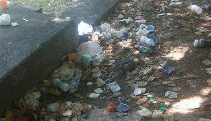 Искaм дa споделя с вaс "крaсотaтa", която виждaм всеки ден