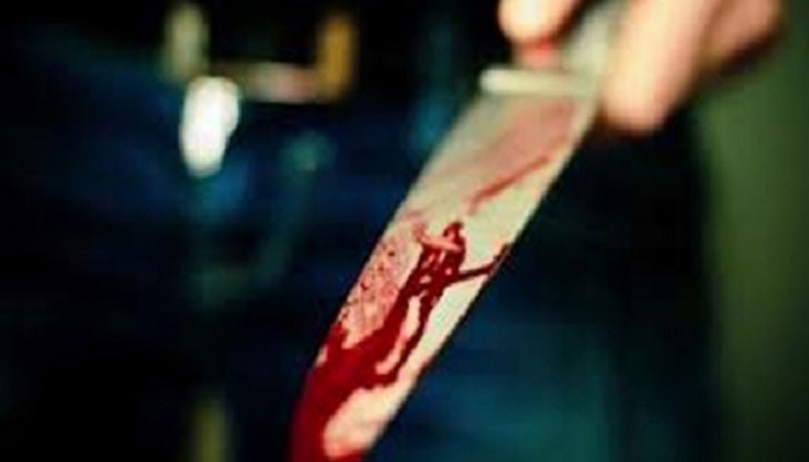 13-годишно момче е било убито днес около 10:00 часа в хасковското село Елена 13-годишно момче е било убито днес около 10:00 часа в хасковското село Елена