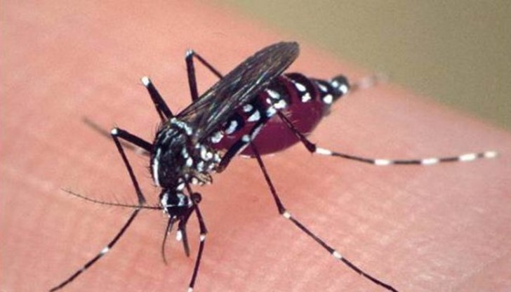 Детето било с главоболие, 39 градуса температура, болки в мускулите, лесна уморяемост и ситен обрив