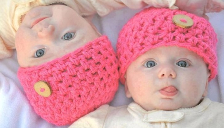 Винаги можем да научим по нещо неочаквано от пухкавите сладурковци Винаги можем да научим по нещо неочаквано от пухкавите сладурковци