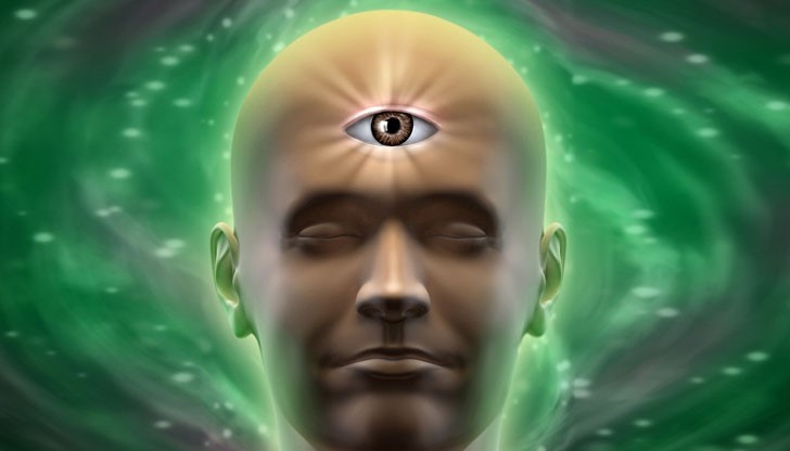 Епифизната жлеза, известна повече като третото око е малка ендокринна жлеза с формата на шишарка Епифизната жлеза, известна повече като третото око е малка ендокринна жлеза с формата на шишарка