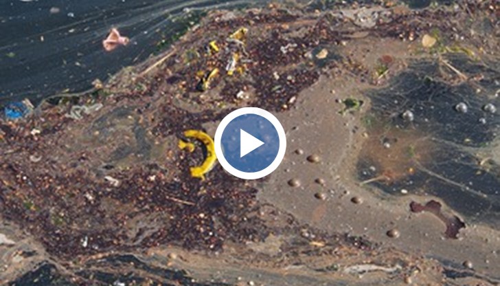 Нефтен разлив замърси яхтеното пристанище