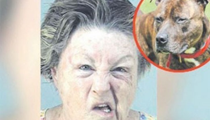 Жената нападнала кучето и му отхапала тестисите!