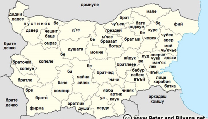 Красотата на уличния жаргон Красотата на уличния жаргон