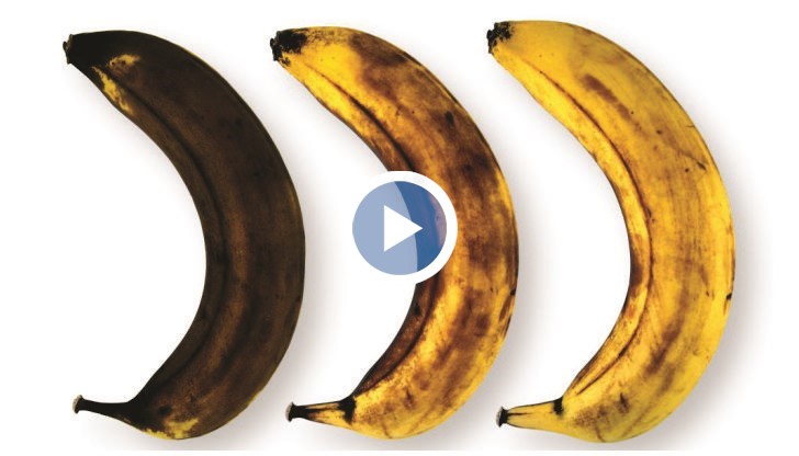 Кафявата кора на банана показва, че той е кашест и доста по-мек