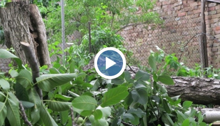 Големината на ледените късове е била с размерите на лешник