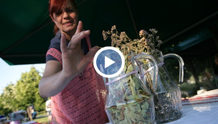 Еньовден – символ на магичната връзка между човека и природата