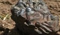 Метеорит счупи мотиката на земеделец