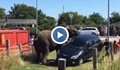 Побеснели слонове подхвърляха автомобил като играчка