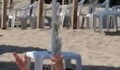 Туристи унищожават застрашени видове на плаж Силистар