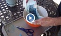 Уникален трик как да ползваме памперси в градинарството