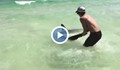 Мъж спасява ранена акула на плажа