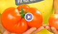 Семейство от Русе отгледа домат гигант