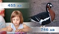 Държавата дава 455 лева за дете, а за една гъска 746 лева!