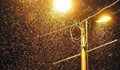 Канални мушици нападат цяла България